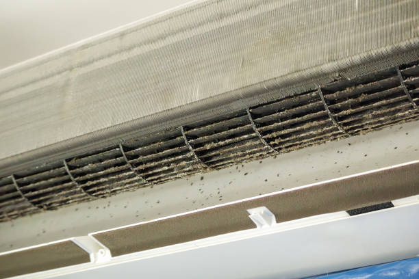 Best Ventilation Cleaning Services  in Willimantic, CT